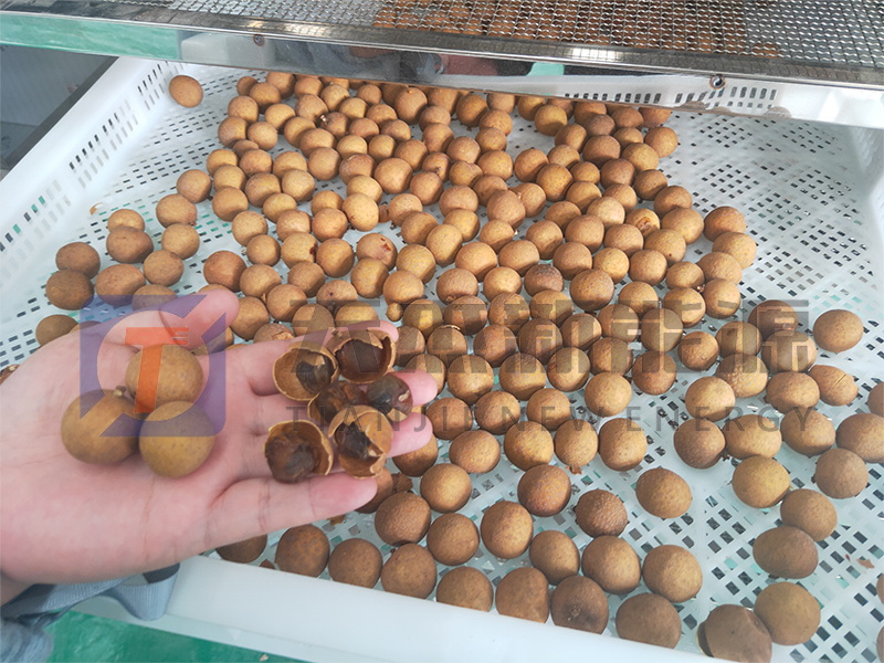 天杰新能源?；葜蔟堁酆娓蓹C(jī)開(kāi)機(jī)大吉
